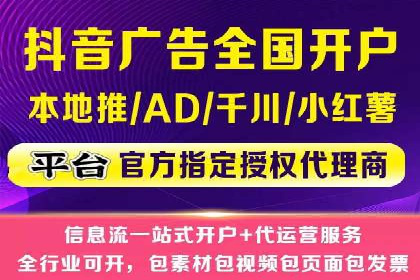 信息流广告代理案例对比分析